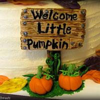 Welcome Little Pumpkin