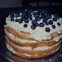 Blueberry Sponge Cake