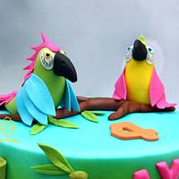 Parrots cake