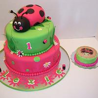 Lady Bug Cake