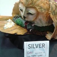 Barn Owl cake