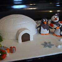 igloo penguin cake
