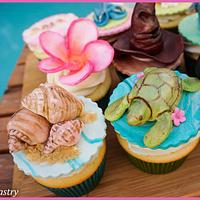Florida Cupcakes