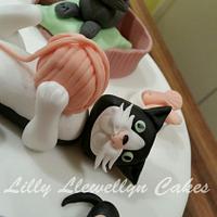 Cat Birthday Cake