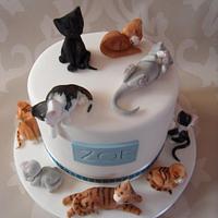 Cat Cake.