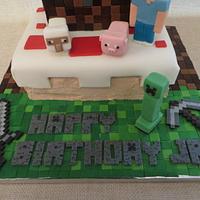 Mine Craft Cake for Icing Smiles