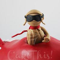 3D Plane Cake