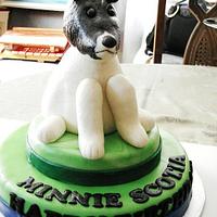 Dog Cake 