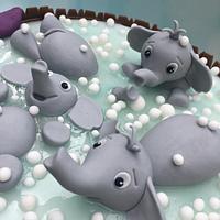 Elephants in a tub