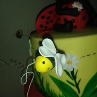 Lady Bug Birthday Cake