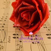 My red rose