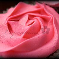 Pink Rose Swirls