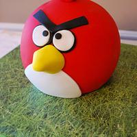 Red Angry Bird!