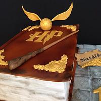 Harry Potter book cake