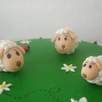 Sheep cake 1
