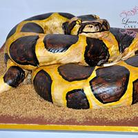 Python Cake