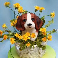 3D cake puppy Beagle in the basket of dandelions