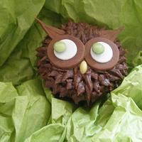Kooky Owl Cupcake