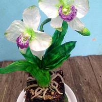 Orchid Pot Cake 