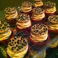 Leopard Cake & Cupcakes