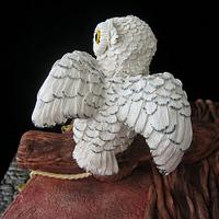 White Owl Cake