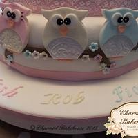 Owl wedding cake