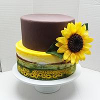 Sunflower cake Sunflower cake