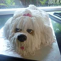 doggy cake