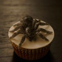 Spider cupcake