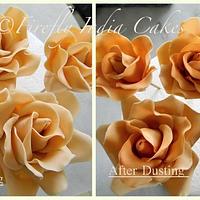 Roses Before & After Dusting