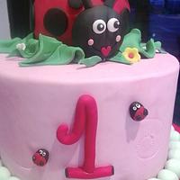 Lady Bug cake
