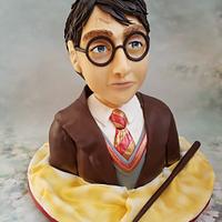 Harry Potter Bust Cake