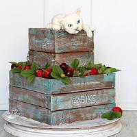 Wooden box with strawberries and cat