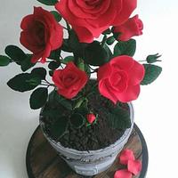 Gravity Rose bush cake