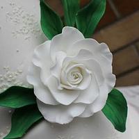 Elegant lace cake - royal icing 