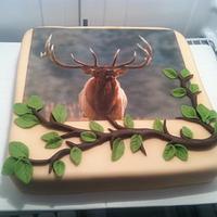 Elk Hunter birthday 