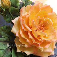 Open rose and Japanese Rosette Succulent arrangement.