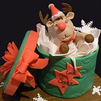 Rudolf's gift