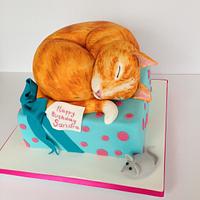 Ginger cat present cake 