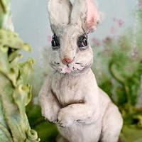 Rabbit (Animal Rights Collaboration)