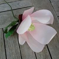 Magnolia Wafer Paper