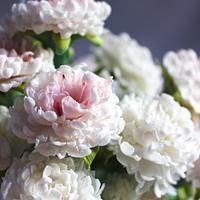 My gumpaste carnations