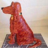 Florence the Red Setter