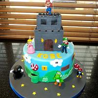Mario & Luigi Castle 