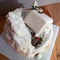 Christmas cake - Birthday winter cake