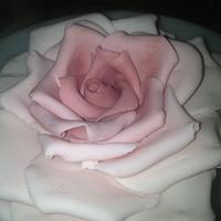 fondant roses