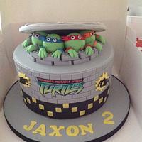 Turtles cake 