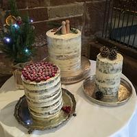 Naked winter wedding cake