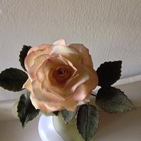 Romantic rose...
