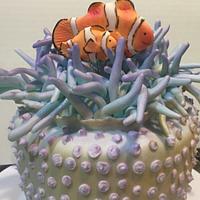 Anemone and clown fish cake 